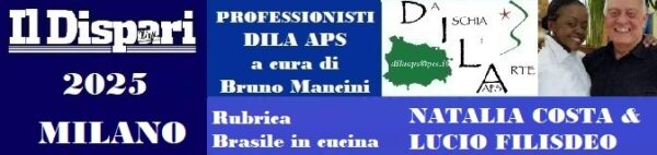 20250131 DILA ASP IL DISPARI professionisti