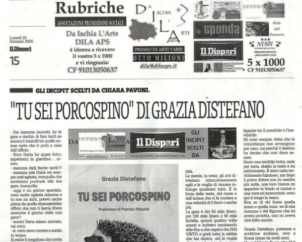 20250120 DILA APS – IL DISPARI